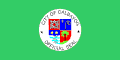 Bandeira de Calbayog