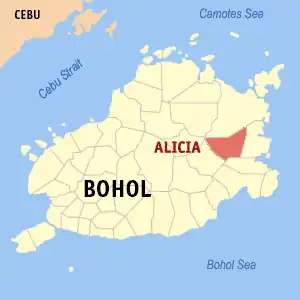 Alicia na Bohol Coordenadas : 9°53'44.55"N, 124°26'29.46"E