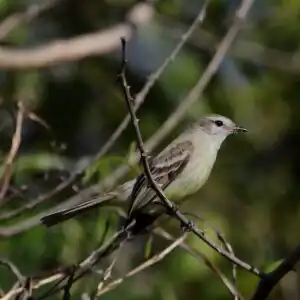 Bagageiro em Dourado, Estado de São Paulo, Brasil