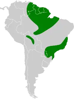 Distribuição do pula-pula-ribeirinho