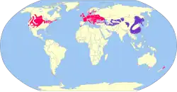 Distribuição do Faisão-coleira.