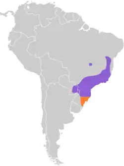 Distribuição da tesourinha-da-mata na América do Sul