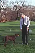 Bill Clinton e seu cachorro Buddy em 1998