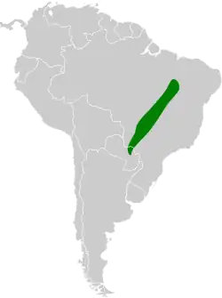 Distribuição geográfica do piolhinho-do-grotão.