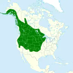 Residente Invernagem