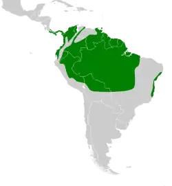 Distribuição da maitaca-de-cabeça-azul