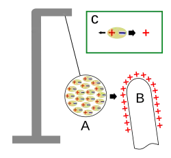 Diagrama mostrando como funciona um eletroscópio de esfera medular . As moléculas (ovais amarelas) que compõem a bola medular (A) consistem em cargas positivas (núcleos atômicos) e cargas negativas (elétrons) próximas. Trazer um objeto carregado (B) para perto da bola de medula faz com que essas cargas se separem ligeiramente. Se o objeto tiver carga positiva, os elétrons (-) nas moléculas serão atraídos por ele e se moverão para o lado da molécula próximo ao objeto. Os núcleos (+) serão repelidos e se moverão para o lado da molécula, longe dele. Isso é chamado de polarização. Uma vez que os elétrons estão agora mais próximos da carga externa do que os núcleos (C)sua atração é mais forte do que a repulsão dos núcleos e, portanto, o resultado é uma força de atração fraca. A separação das cargas é microscópica, mas como há tantos átomos na bola da medula, a força total é forte o suficiente para puxar a bola da medula em direção à carga externa.