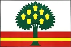 Bandeira de Plískov