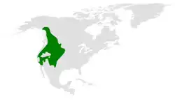 Área de distribuição de Poecile gambeli