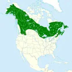 Área de distribuição de Poecile hudsonicus