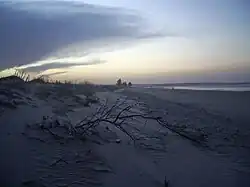 Praia de Ponta do Mel