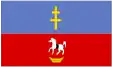 Bandeira do Condado de Włoszczowa
