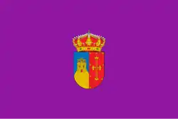 Bandeira de Pozuelo de Alarcón