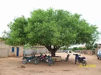 Zona central do povoado de Resina