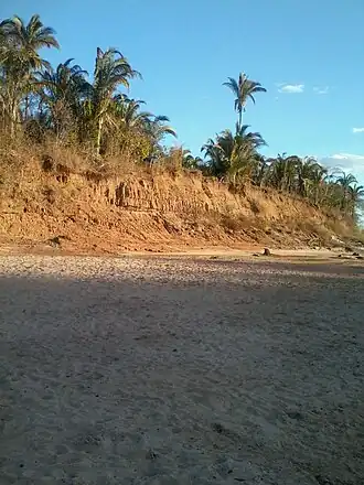 Praia do Orlei