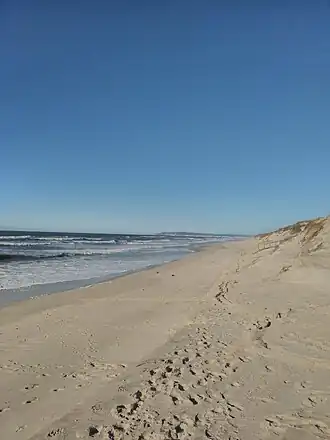 Praia de Osso da Baleia