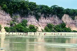 Falésias da Praia de Pipa.