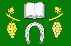 Bandeira de Těšany