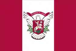 Bandeira de Vyshneve