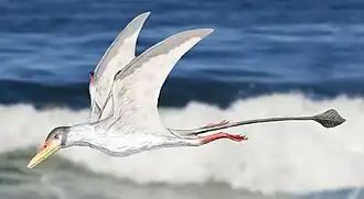 Reconstituição de um Preondactylus.