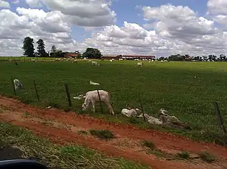 foto que destaca, Área rural do municipio