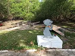 Mangue onde ocorre a festividade dos Pretinhos do Mangue, em Curuçá (2023)