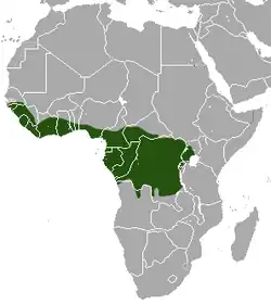 Distribuição geográfica de Galagoides demidovii
