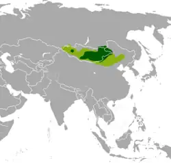 Território da gazela-mongol Histórico Atual