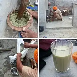 Processo de fabricação de bhang Numa aldeia Sikh em Punjab, Índia. No festival de cores hindu e sikh, chamado Holi, O BHANG é um habitualmente acrescentado a algumas bebidas álcoolicas[7]