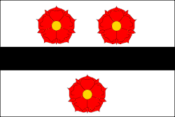 Bandeira de Prokopov