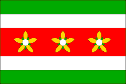 Bandeira de Prosečné