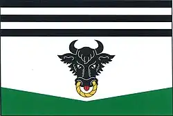 Bandeira de Prosetín