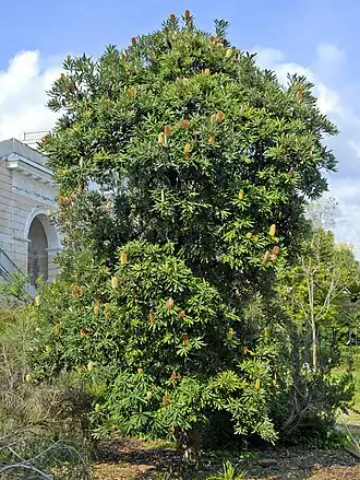 Na Villa Durazzo-Pallavicini