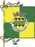 Bandeira de Sanfins do Douro