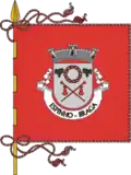 Bandeira de Espinho