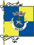 Bandeira de Bucelas