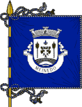 Bandeira de Meinedo
