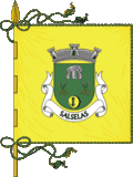 Bandeira de Salselas