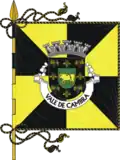 Estandarte da Cidade de Vale de Cambra