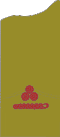 Pukovnik (Coronel)