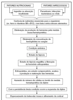 Publicado em Novas Inferências sobre o Sítio Arqueológico Içara-01 a partir da Análise dos Remanescentes Humanos