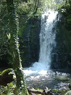 Amarante Queda de água São Simão Ribeira Locaia