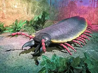 Reconstrução de Arthropleura