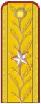 Roménia: General de brigadă