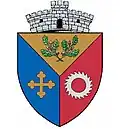 Brasão de armas de Schitu Goleşti