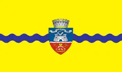Bandeira de Arad