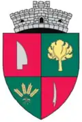 Brasão de armas de Borș