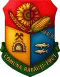 Brasão de armas de Rădăuţi-Prut