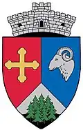 Brasão de armas de Brăeşti
