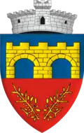Brasão de armas de Chichiș